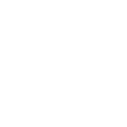 Bulb