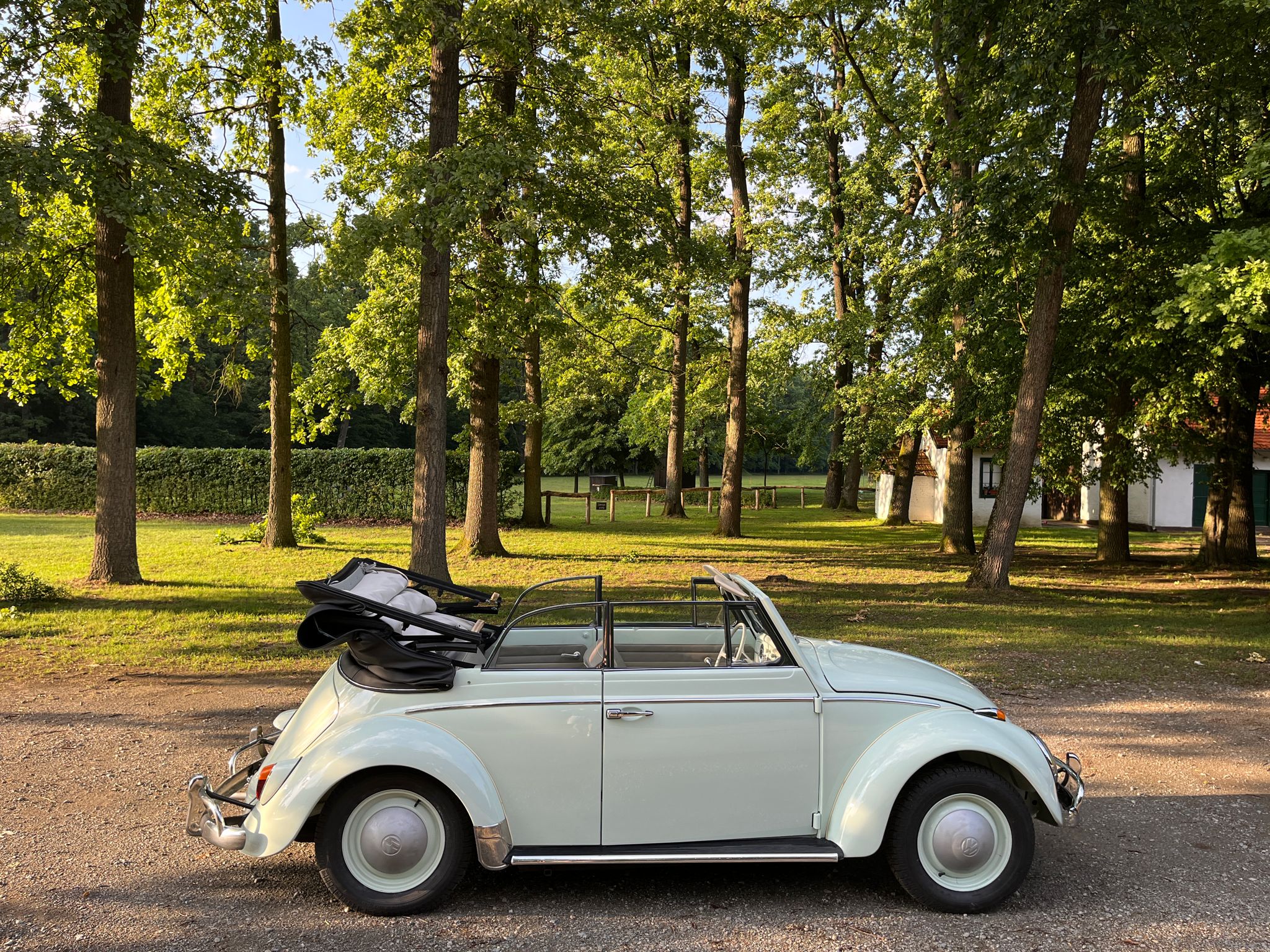 1964 VW Buba Cabrio 