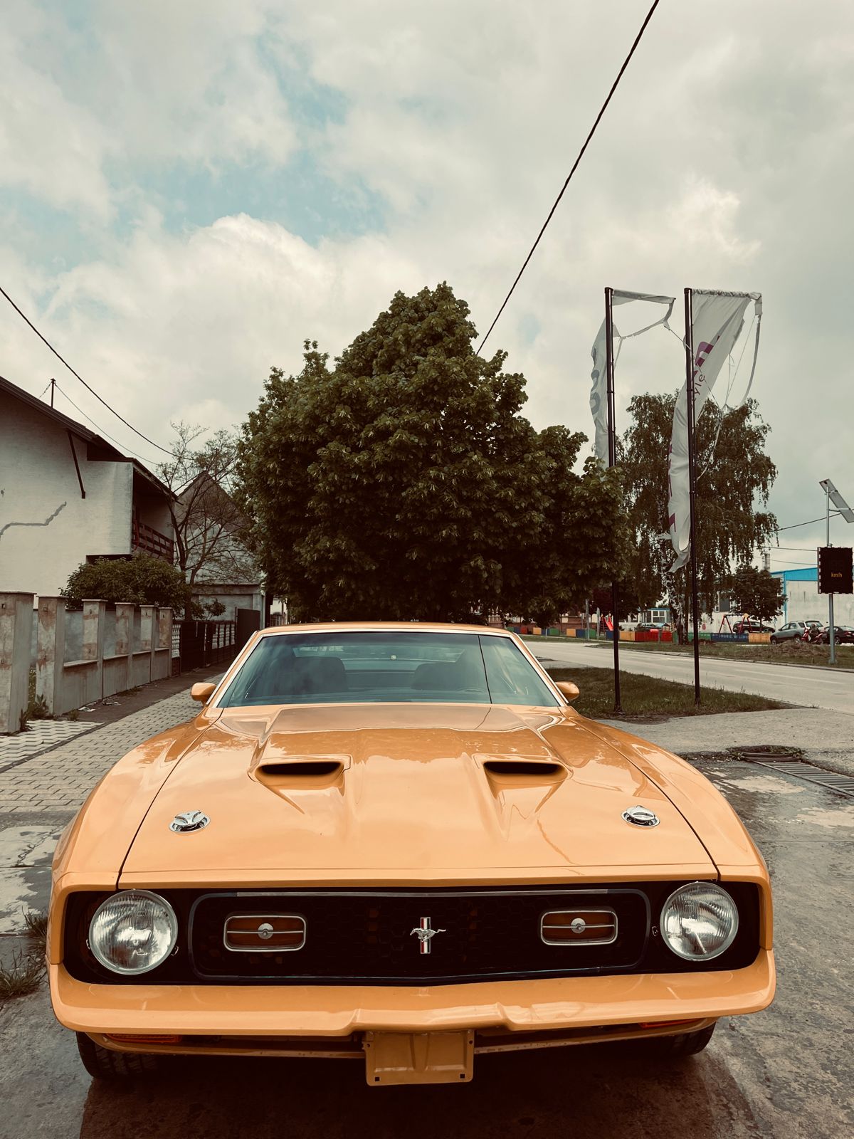 Ford Mustang Mach 1